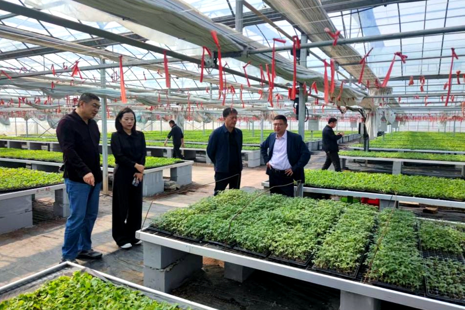 91997f82cb07f3c5.jpeg.cthumb.jpg 91997f82cb07f3c5.jpeg.cthumb.jpg